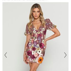Showpo wren flower dress!